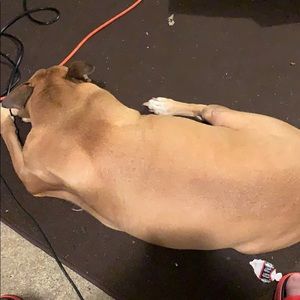 Meet your Posher, Devin